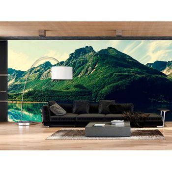 Fotomural Vinilo Para Pared Flores, 350 X 250 Cm, Salones con Ofertas en  Carrefour