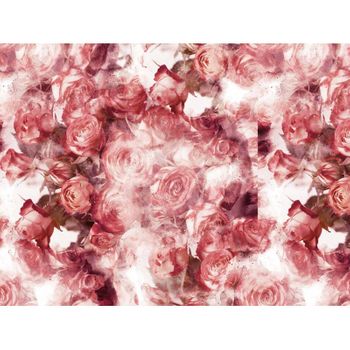 Fotomural Vinilo Floral Rosas Rojas 350 X 250 Cm