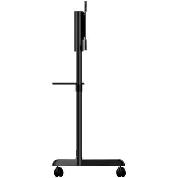 Soporte Tv Startech Mbltvstndec          Negro