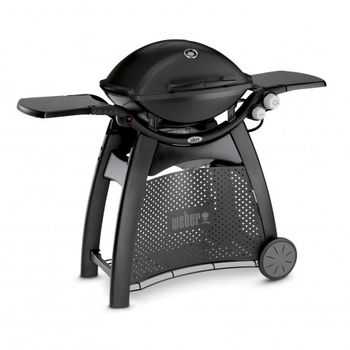 Rejilla Weber Para Barbacoas De Carbon Goanywhere - 7438 - Weber con  Ofertas en Carrefour