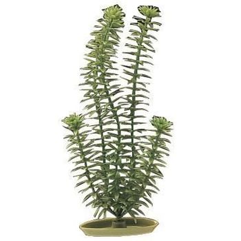 Aqua Plantas Artificiales Marina Anacharis 12.5 Cm - Plástico - Verde - Para Acuarios