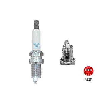 Ngk Spark Plug 8894