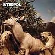 Cd. Interpol. Our Love To Admire