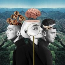 Cd. Clean Bandit. What Is Love? Std