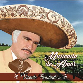 2cdd. Vicente Fernandez. Mas Romantico Que Nunca -