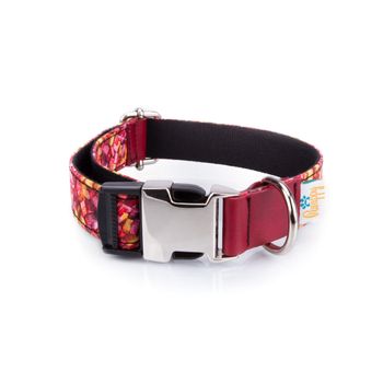 Collar Para Perros Funny Caramelos Pamppy 45 Cm