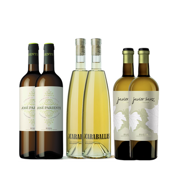 Pack 6 Botellas Verdejo  España  75 Cl. º