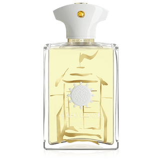 Amouage Beach Hut Eau De Parfum For Men 100 Ml