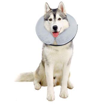 Collar Inflable Protector Y De Recuperación Para Perros Y Gatos Gris Xl Bencmate