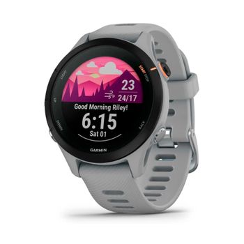 Garmin Forerunner 255s Gray / Smartwatch 41mm