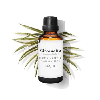 Daffoil Citronella Esencia Aromática 100 Ml Citronela