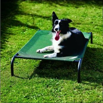 Cama Elevada Para Mascota Mediana Resistente Exterior