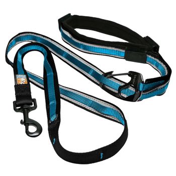 Correa Para Perros Reflectante 6 En 1 Quantum Negro Y Azul Kurgo