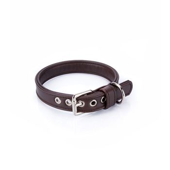 Collar Vegano Para Perros Cher Marrón Pamppy 55 Cm