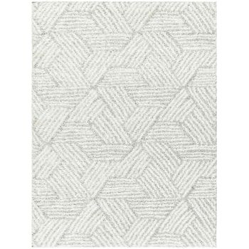 Alfombra Shaggy Moderna Blanco/gris 160x213cm Allie