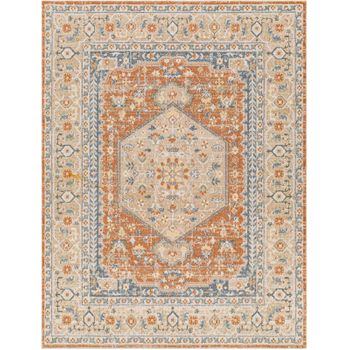 Alfombra Vintage Lavable En Lavadora Gris/azul 160x213 Cm - Diseño Elsa con  Ofertas en Carrefour