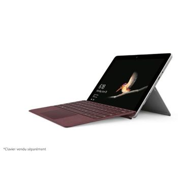 Microsoft Surface Go 10tactile Intel Pentium Gold 4go Ram 64go Emmc - Nouveau