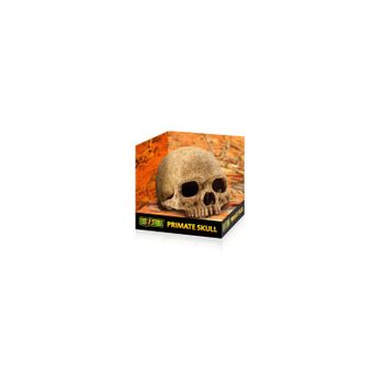 Exo Terra Primate Skull