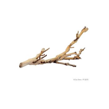 Exo Terra Rama Forest Branch S 30 Cm