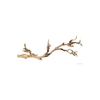 Exo Terra Rama Forest Branch L 60 Cm