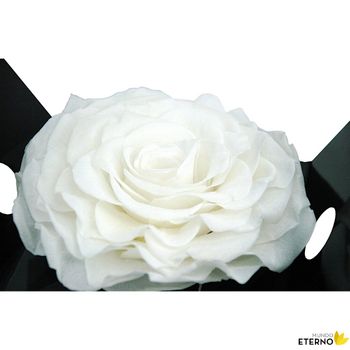 Rosa Eterna Preservada De Color Blanca King