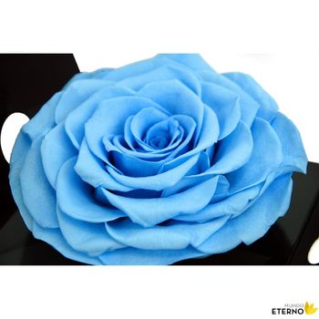 Rosa Eterna Preservada De Color Azul Claro King
