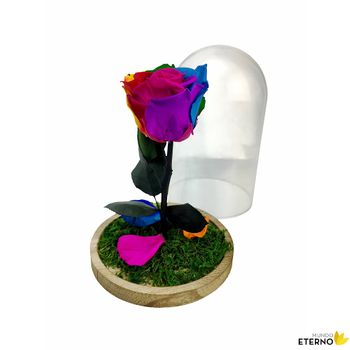 Rosa Eterna Preservada De Color White Shadow 55cm con Ofertas en Carrefour