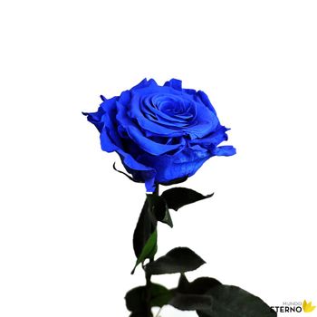 Rosa Eterna Preservada De Color Azul Oscuro 35cm