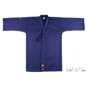 Iaido / Kendo Gi Professional 2.0