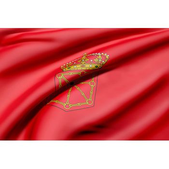 Oedim Bandera De La Comunidad De Navarra 85x150cm | Reforzada Y Con Pespuntes | Bandera Con 2 Ojales Metálicos Y Resistente Al Agua