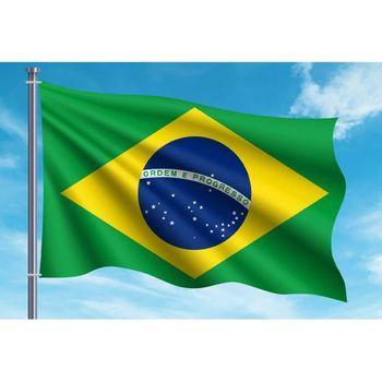 Oedim Bandera De Brasil 85x150cm | Reforzada Y Con Pespuntes | Bandera Con 2 Ojales Metálicos Y Resistente Al Agua