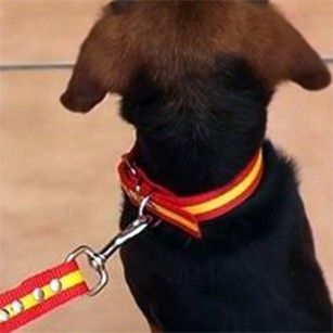 Tiendas online con accesorios artesanales para perros en España