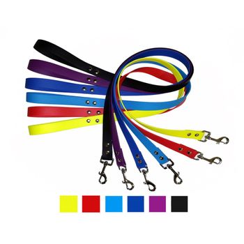 Correa Para Perro Nylon Tpu Mate 2,5 X 100 Cm - Color - Berenjena