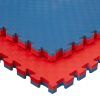 Jowy 2 Piezas (2m² ) Tatami Puzzle Esterilla Goma Espuma | Tatami Suelo Para Gimnasio Ideal Artes Marciales 1m X 1m X 3cm Superficie 5 Líneas Azul/rojo Reversible