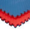 Jowy 3 Piezas (3m² )tatami Puzzle Esterilla Goma Espuma | Tatami Suelo Para Gimnasio Ideal Artes Marciales 1m X 1m X 4cm  Superficie 5 Líneas Azul/rojo Reversible