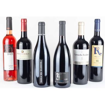 Lote Viaje De Los Sentidos - Corcovo Rosado 13,5%, Puente De Rus Crianza 14%, Habla Del Silencio 14%, Corcovo 24 Barricas Syrah 14,5%, Carmelo Rodero 9 Meses 14,5%, Erre Punto 14% - 6 Botellas De 75cl