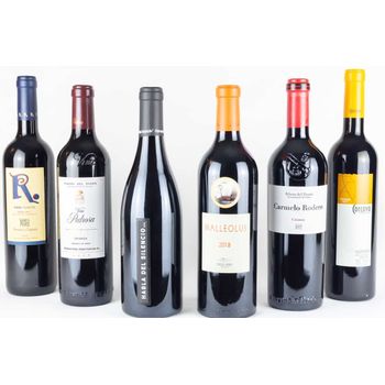 Lote Grandes Crianzas - Erre Punto Tinto 15%, Viña Pedrosa Crianza 14%, Habla Del Silencio 14%, Malleolus 14,5%, Carmelo Rodero Crianza 14% Y Corcovo Crianza 14% - 6 Botellas De 75cl