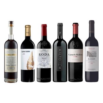 Lote Grandes Tintos Españoles - Ximénez Spinola Very Old 15%, Alaya Tierra 16%, Roda14.5%, Aalto Ps 15%, Carmelo Rodero Tsm 14%, El Anejón 14.5% - 6 Botellas De 75cl