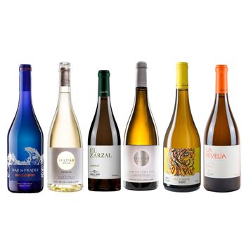 Lote Atlántico Godello - Mar De Frades Godello 13%, O Luar Do Sil Godello 13%, O Luar Do Sil Godello Fermentado En Barrica 13.5%, La Revelía 13.5%, El Zarzal Godello 13.5%, Polvorete 13.5% - 6 Botellas De 75cl