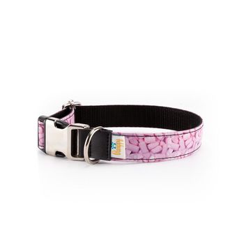 Collar Para Perros Funny Nubes  Pamppy 45 Cm