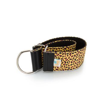 Collar Para Galgo Speedy Leopardo Pamppy 35 Cm