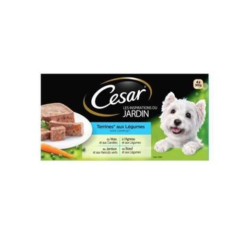 Envases Cesar Terrine - 4 Variedades - Para Perros Adultos - 4 X 300 G (x4)