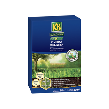 Kb Evergreen Sombra Semillas De Césped, 1 Kg