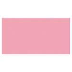 Canson Cartulina Iris 25 Hojas 50x65 Cm Rosa 185 Gr 200040225