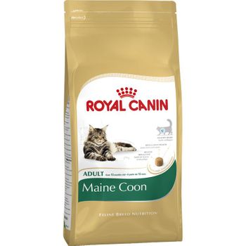 Royal Canin Maine Coon Adulto 10 Kg