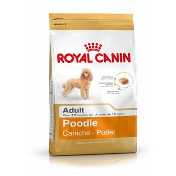 Pienso Royal Canin Poodle Adult Perros De Raza Caniche Adulto Y Maduro (a Partir De Los 10 Meses) - 500g