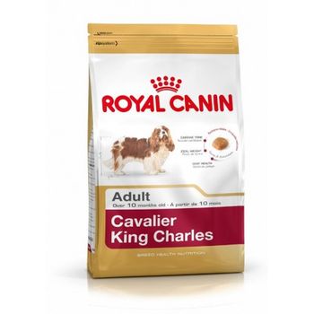 Pienso Royal Canin Cavalier King Charles Adult Perros Adultos (a Partir De 10 Meses)