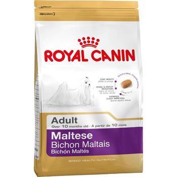 Royal Canin Maltese Adulto