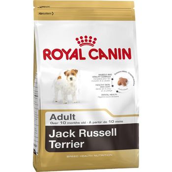 Royal Canin Jack Russell Adulto