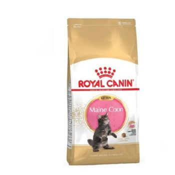 Pienso Royal Canin Kitten Maine Coon Para Gatitos - 10kg
